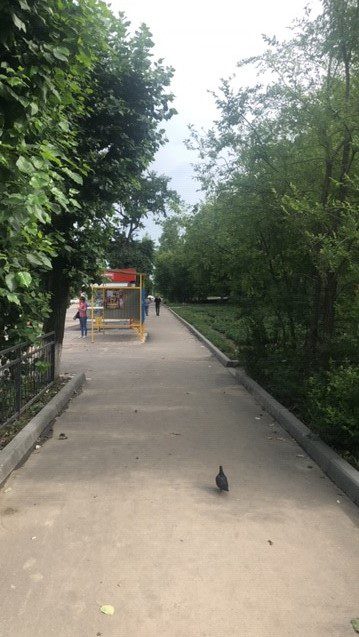 Svobodny Şehir Parkı